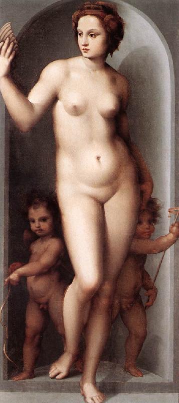 BRESCIANINO, Andrea del Venus and Two Cupids dsf Spain oil painting art
